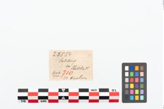 Etikett zu Perlenkette (NHMW-PRAE-025854)